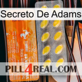 Adams Secret new05